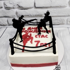 Квадратный торт "Ринг" с бойцами